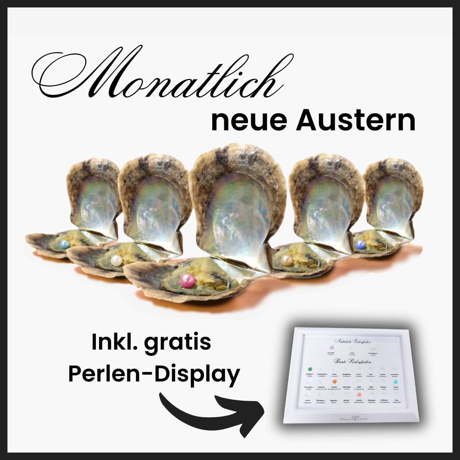 Extra huître á perle (sans bijoux)