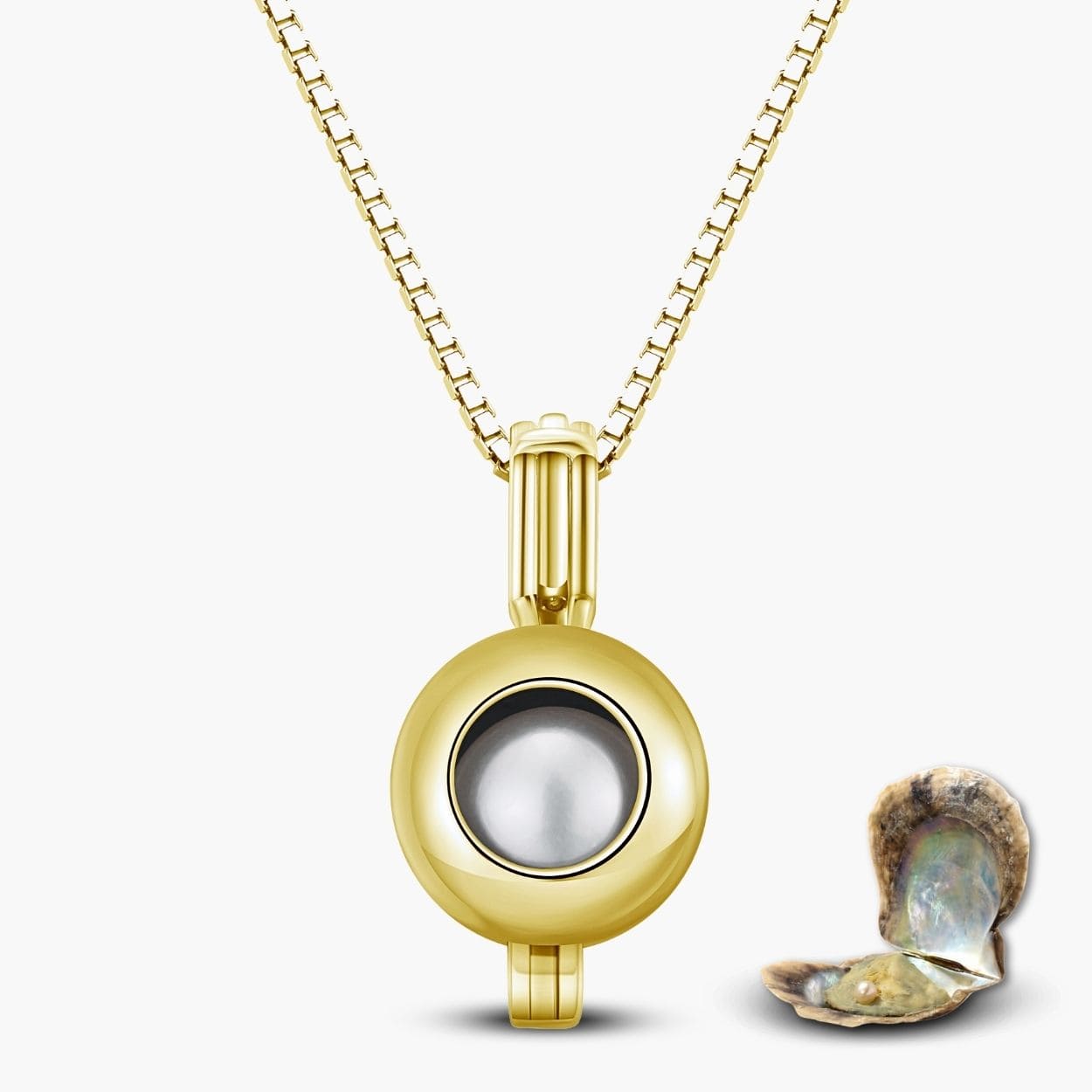 Collier Orbis + huîtres