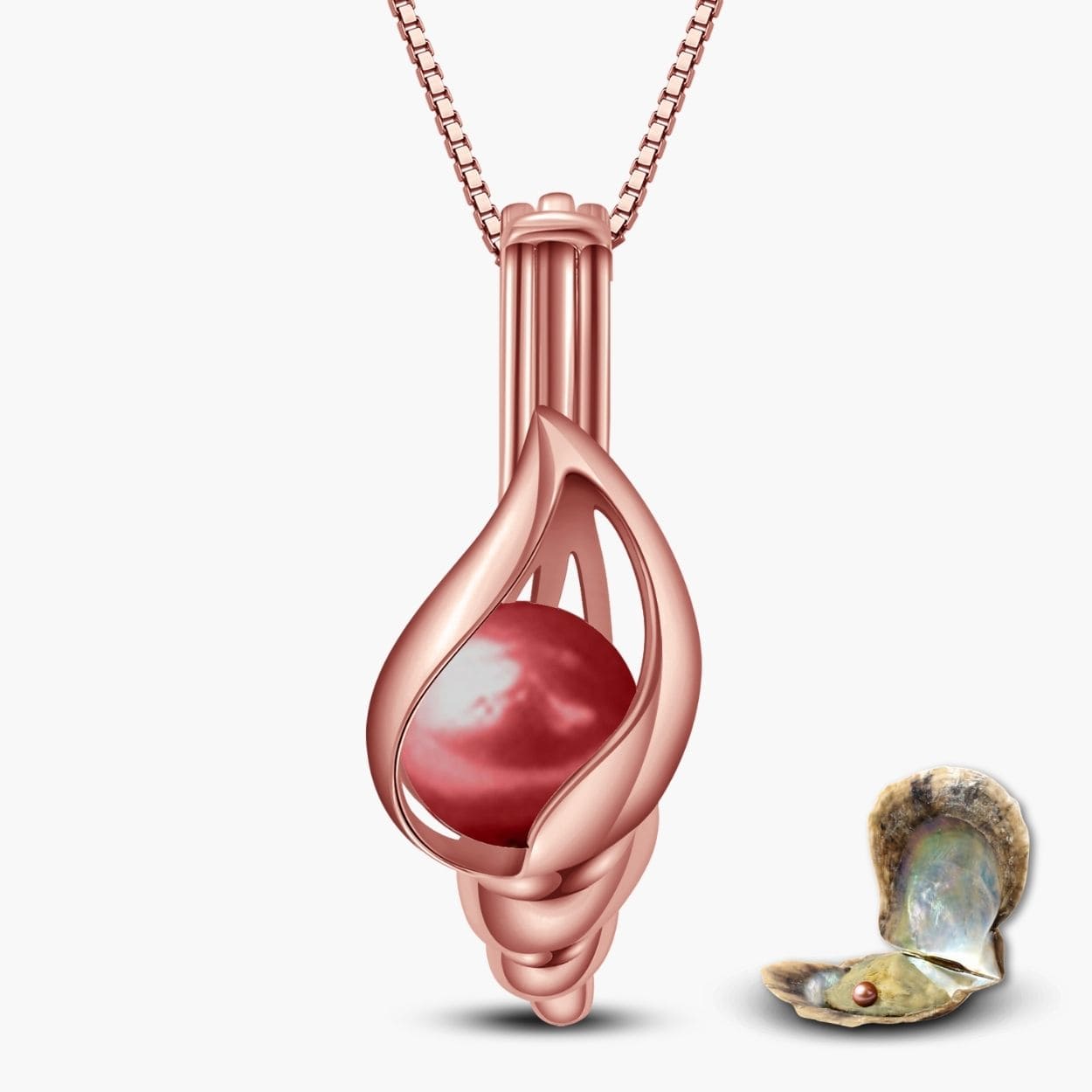 Collier Coquille + Huître