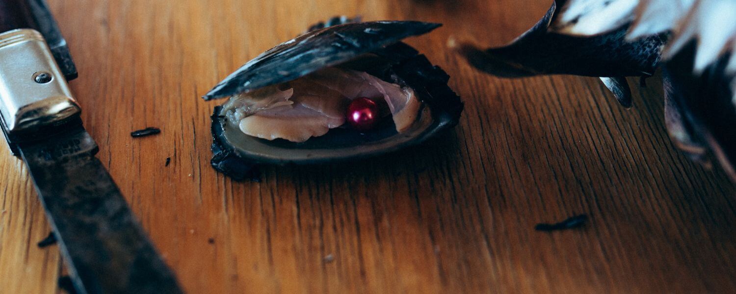 Austern - WunschPerlen