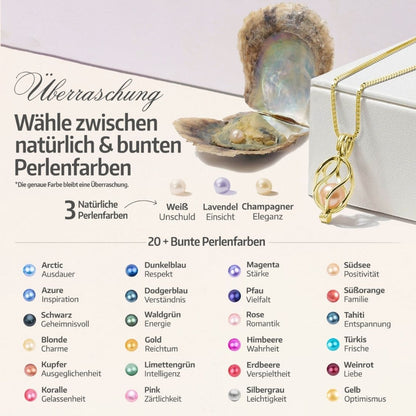 Collier Helix + Huître