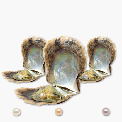 3 extra Austern - WunschPerlen3NP