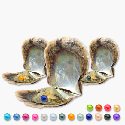 3 extra Austern - WunschPerlen3NP