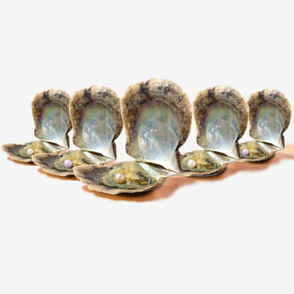 5 extra Austern - WunschPerlen5NP