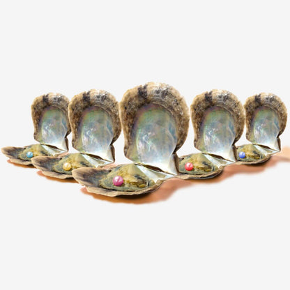 5 extra Austern - WunschPerlen5BP