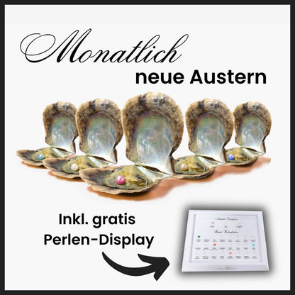 Extra huître á perle (sans bijoux)