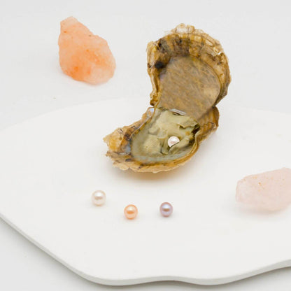 Extra Auster mit Perle - WunschPerlenNP